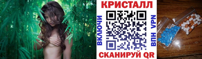 дарнет шоп  Никольск  Амфетамин 97% 