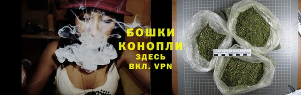 стаф Нефтегорск
