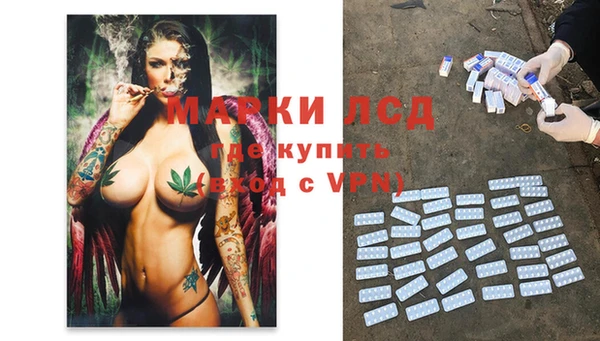 эйфоретик Новокубанск
