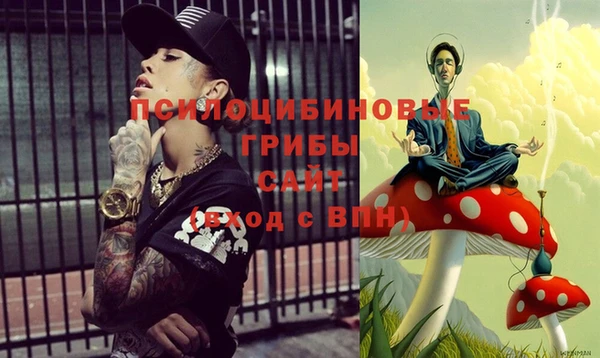 Альфа ПВП Видное