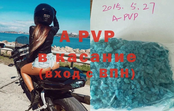 эйфоретик Новокубанск